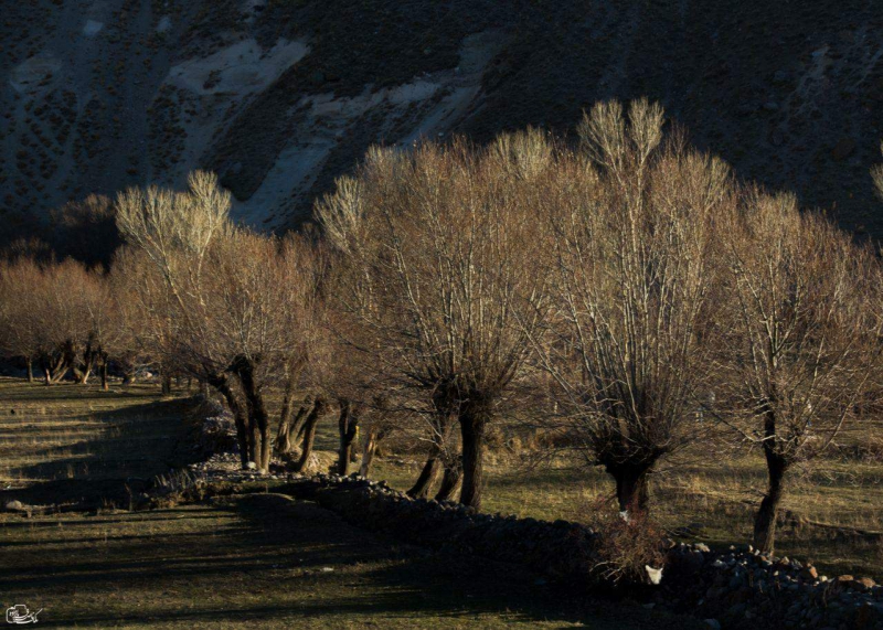 یک روز پاییزی